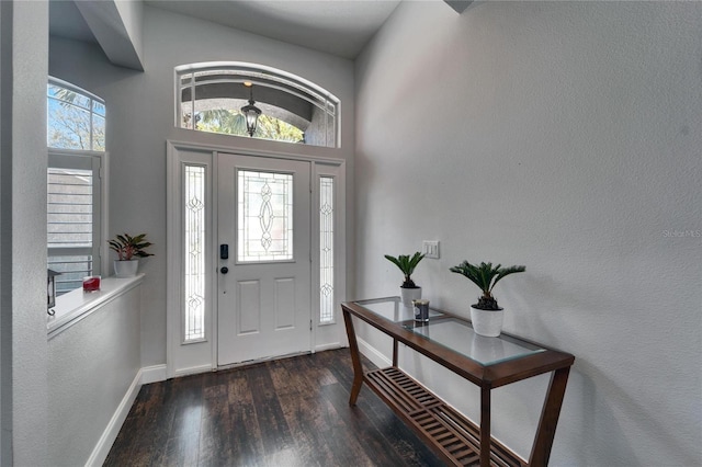 foyer entrance with baseboards and wood finished floors