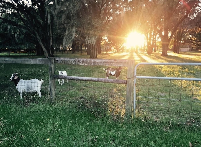view of yard featuring a rural view and fence