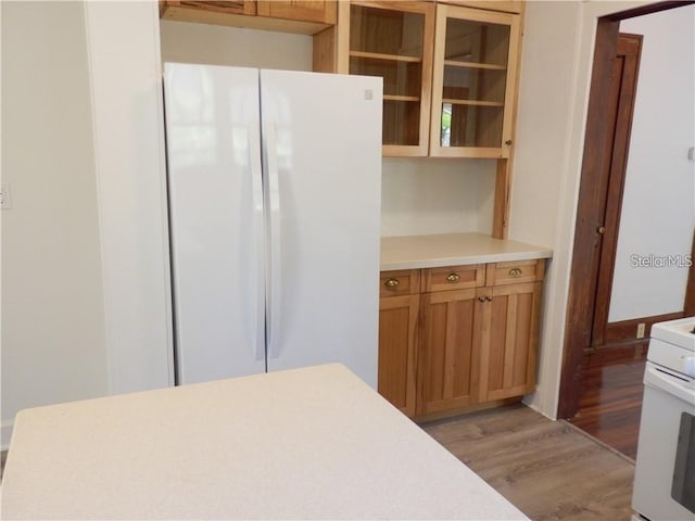 kitchen featuring glass insert cabinets, light wood-type flooring, light countertops, freestanding refrigerator, and brown cabinetry