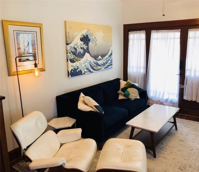 living room with a wealth of natural light