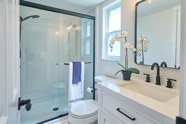 bathroom with vanity, toilet, and a shower stall