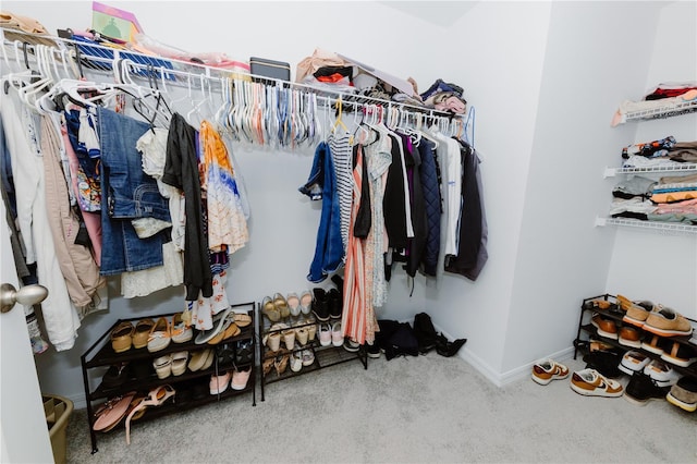 walk in closet with carpet flooring