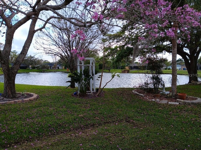 view of yard with a water view