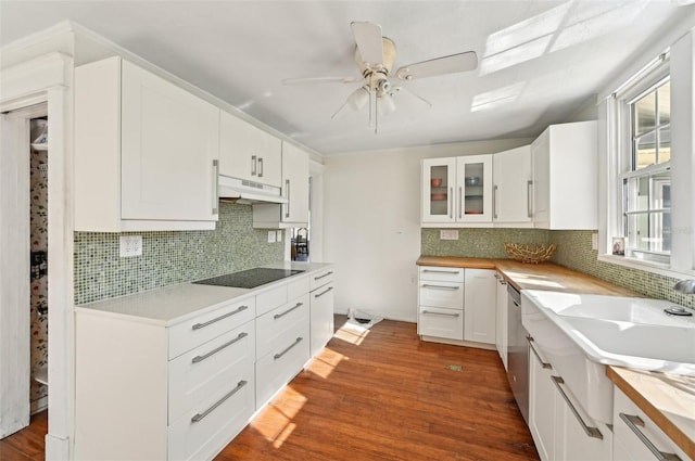 kitchen featuring black electric stovetop, under cabinet range hood, wood finished floors, white cabinets, and a ceiling fan