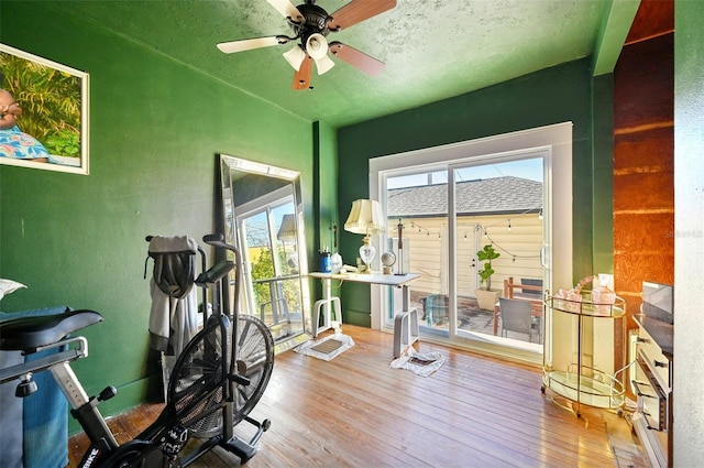 exercise room featuring wood-type flooring and ceiling fan