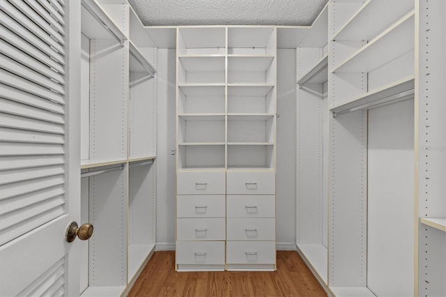 walk in closet featuring light wood-style flooring