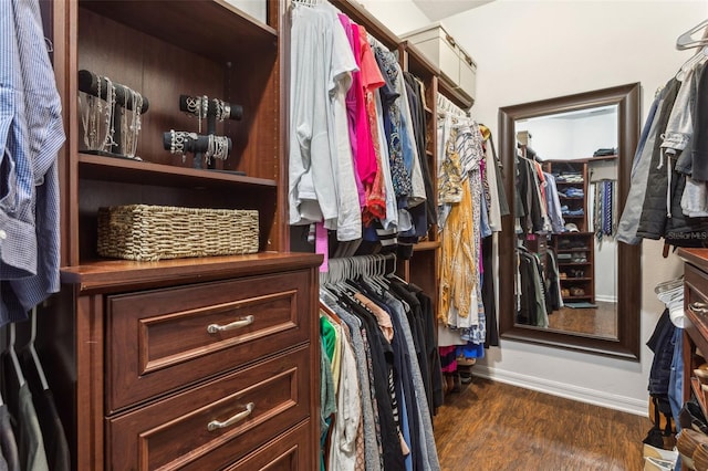 walk in closet featuring wood finished floors