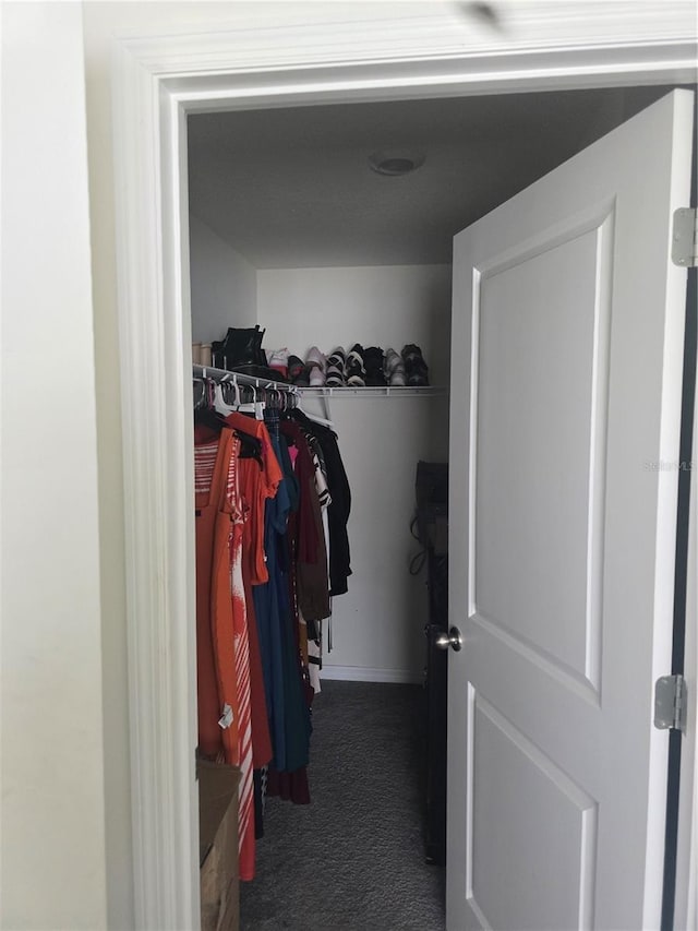 walk in closet featuring carpet