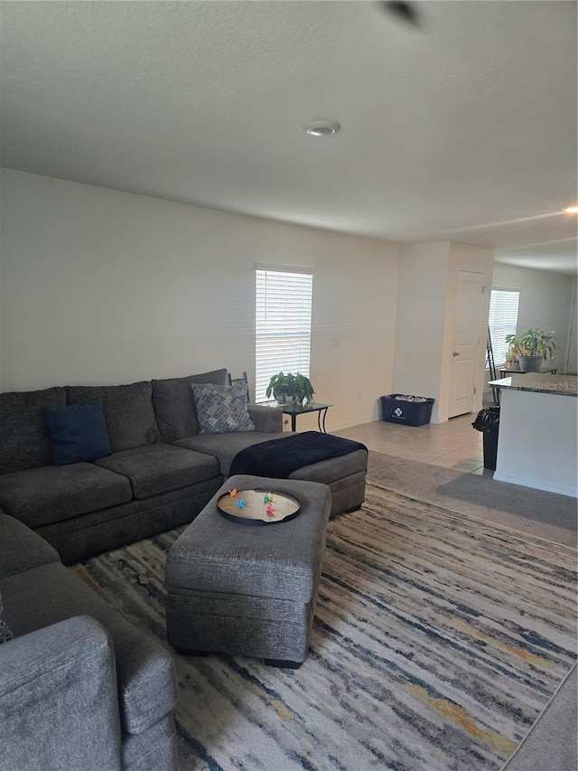 living room featuring tile patterned floors