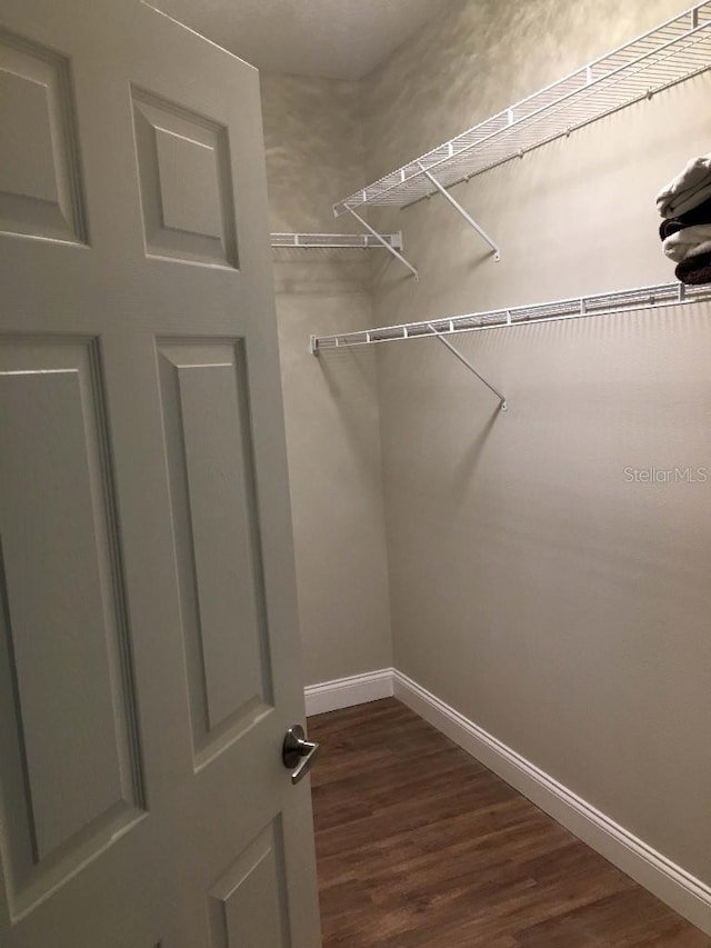 spacious closet with dark wood finished floors