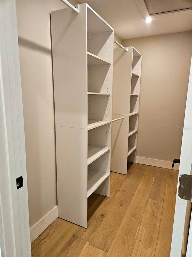 walk in closet with light wood-style flooring