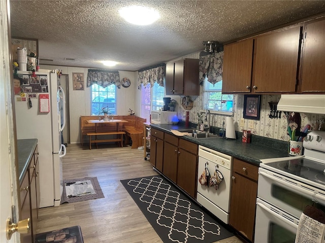 kitchen featuring white appliances, plenty of natural light, a sink, exhaust hood, and light wood-type flooring