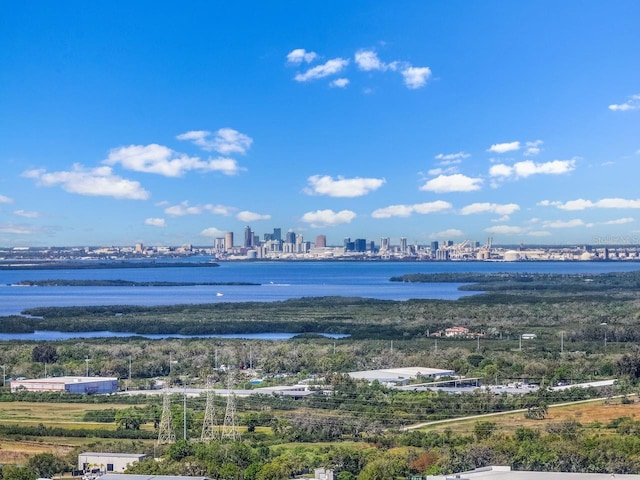 property view of water featuring a city view