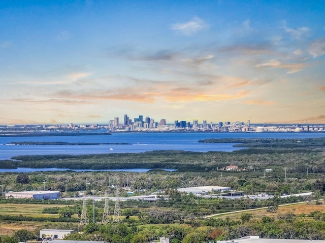 water view with a view of city