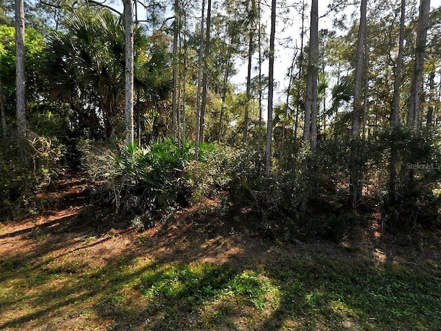 Eldron Ave, North Port FL, 34286 land for sale