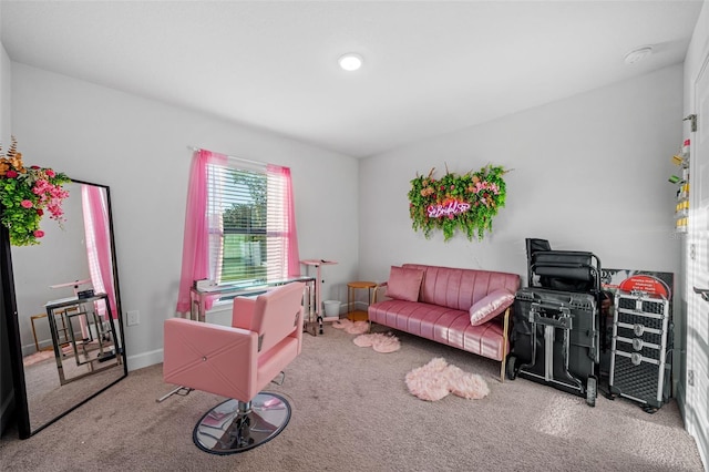 rec room featuring baseboards and carpet flooring