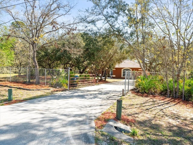 view of road featuring concrete driveway and a gate