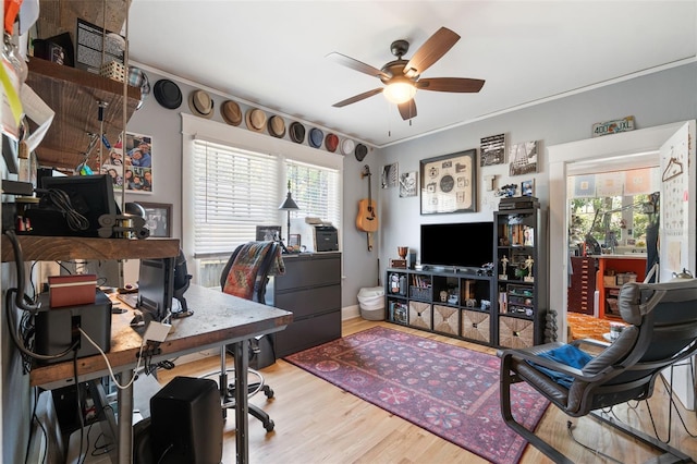 office space featuring crown molding, a ceiling fan, and wood finished floors