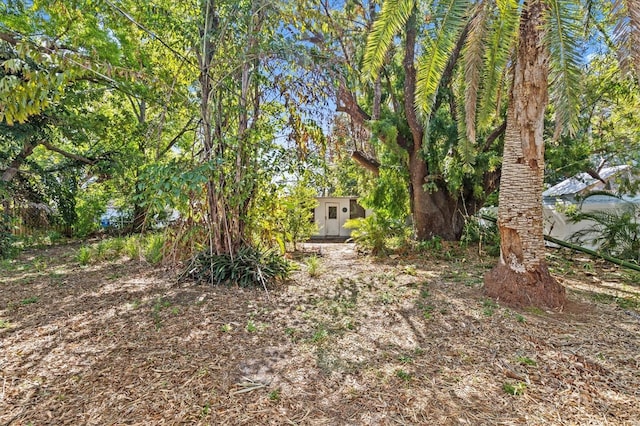 view of yard with an outbuilding