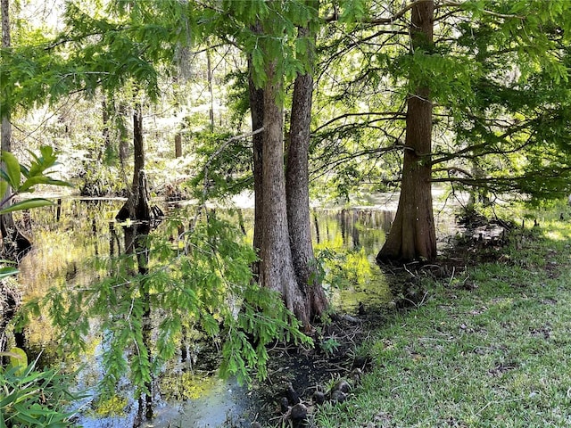 view of landscape with a wooded view