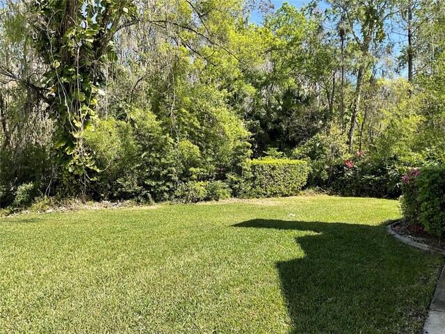3610 Lost Pine Way Unit 3610, Valrico, FL 33596 - photo 11