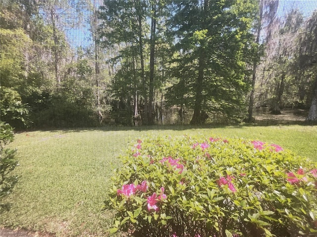 3610 Lost Pine Way Unit 3610, Valrico, FL 33596 - photo 12