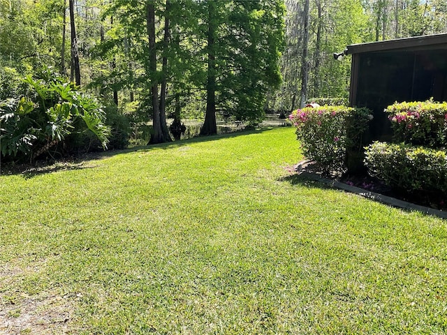 3610 Lost Pine Way Unit 3610, Valrico, FL 33596 - photo 13