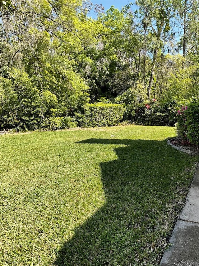 3610 Lost Pine Way Unit 3610, Valrico, FL 33596 - photo 19
