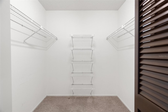 walk in closet featuring carpet