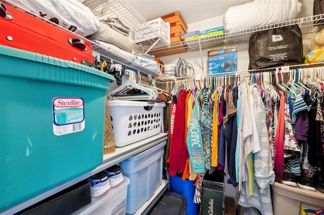 view of walk in closet