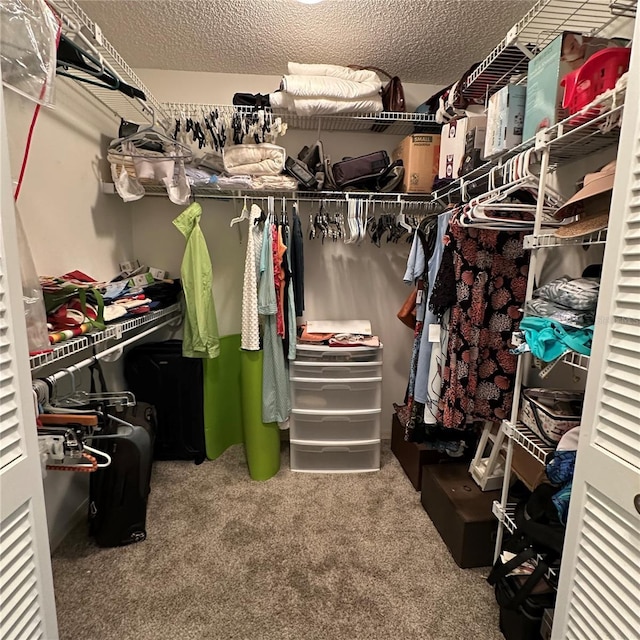 walk in closet with carpet flooring