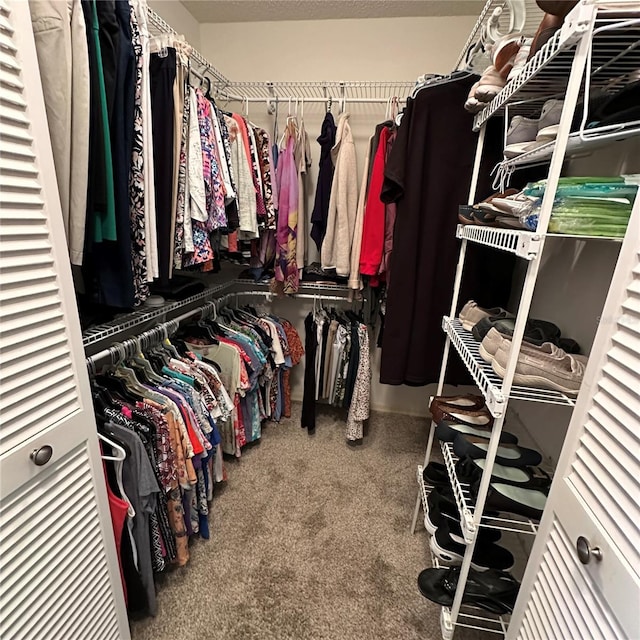 spacious closet featuring carpet