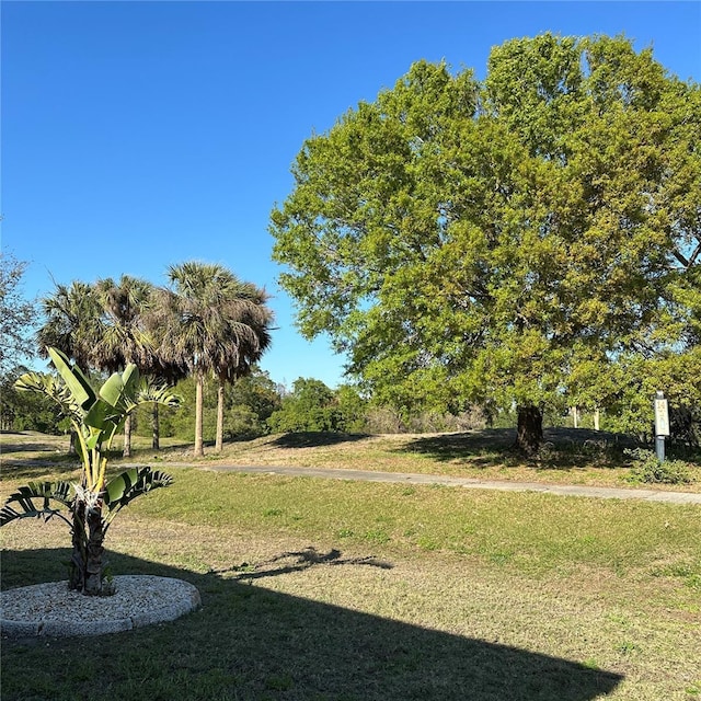 surrounding community featuring a yard