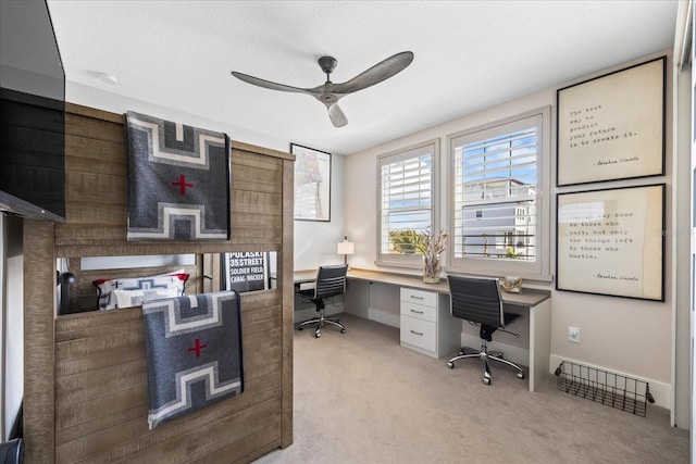 3006 Christophers Watch Ln, Ruskin, FL 33570 - photo 51