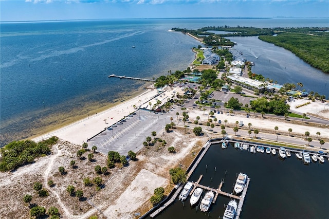 3006 Christophers Watch Ln, Ruskin, FL 33570 - photo 94