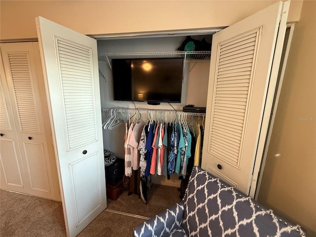 view of closet