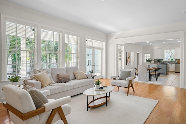 living area with french doors and light wood-style flooring