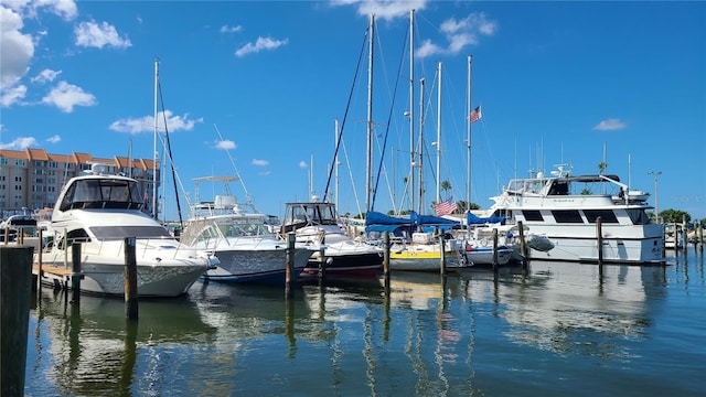 dock area with a water view