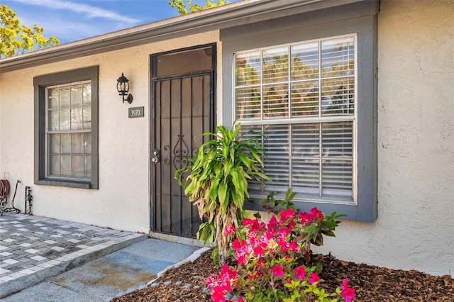 entrance to property featuring stucco siding