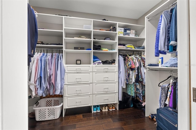 walk in closet with dark wood-type flooring