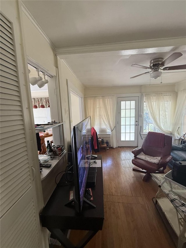 interior space featuring dark wood-style floors, ceiling fan, and ornamental molding