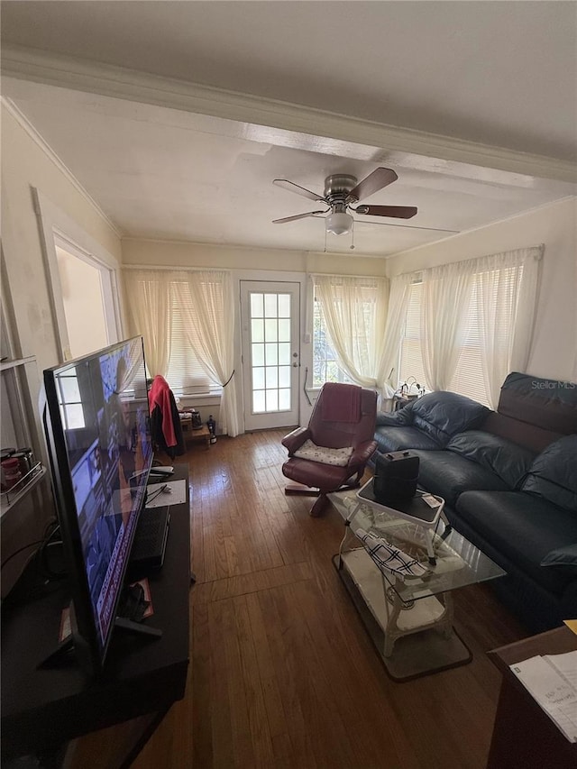 living room featuring ornamental molding, a ceiling fan, and dark wood-style flooring