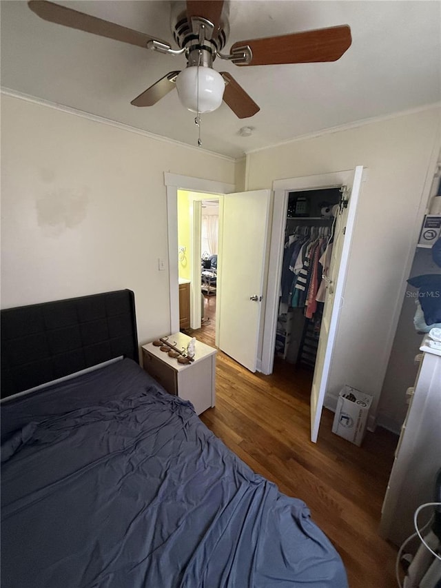 bedroom with a closet, wood finished floors, a ceiling fan, and ornamental molding