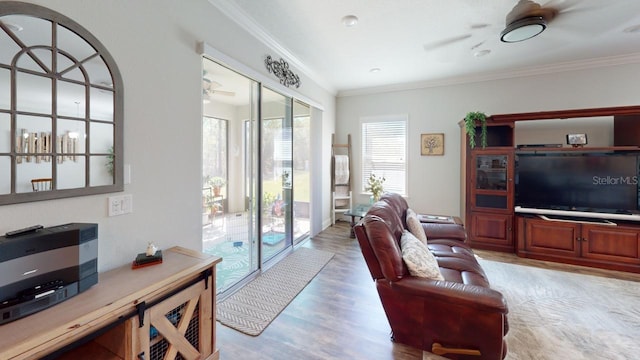 living room with ceiling fan, light wood-style flooring, and crown molding