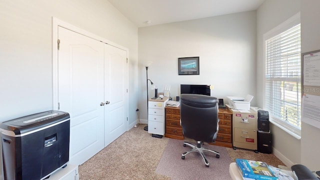 office space featuring a wealth of natural light, baseboards, and carpet floors