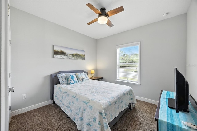 12403 Brick Cobblestone Dr, Riverview, FL 33579 - photo 14
