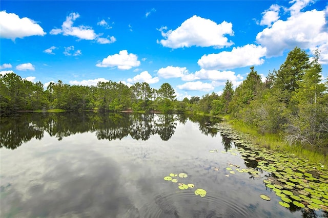 water view with a forest view