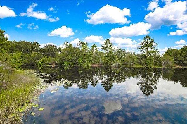 property view of water with a wooded view