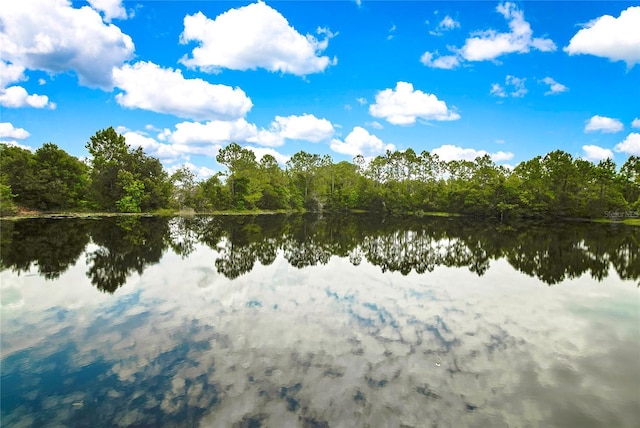 water view featuring a view of trees