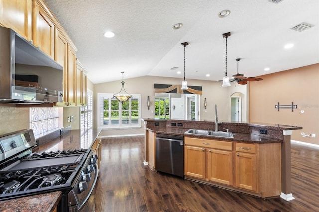 kitchen with lofted ceiling, dark wood-style flooring, a sink, hanging light fixtures, and appliances with stainless steel finishes